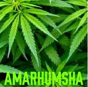 AmaRhumsha – Isivungu Vungu Mp3 Download