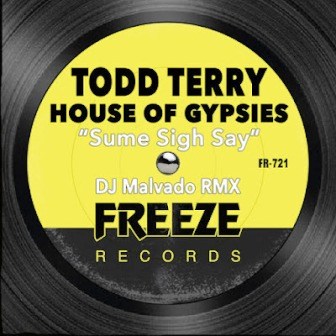 Todd Terry & House Of Gypsies – Sume Sigh Say (DJ Malvado RMX) Fakaza