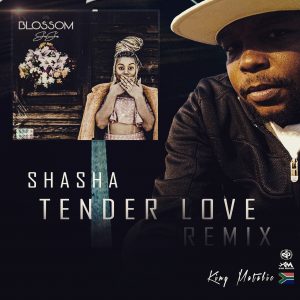 Sha Sha Tender Love Mp3 Download