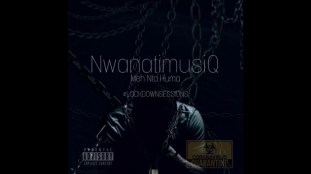 Download Mp3: NwanatiMusiQ – Vigro Deep Style