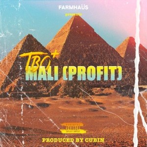TBO - Mali (Profit)