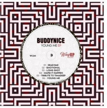 Buddynice – Tribute to TimAdeep (Redemial Mix)