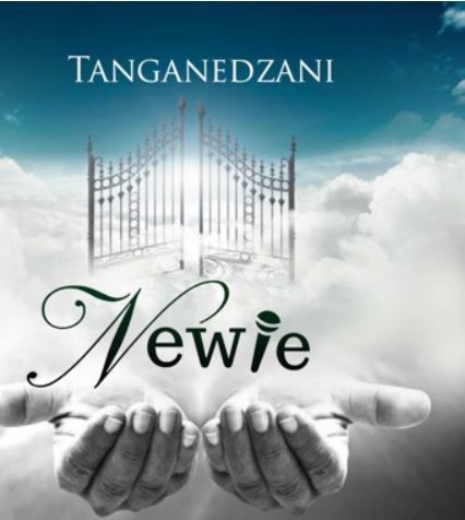 Newie – Tanganedzani (Live) Mp3 download
