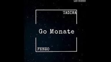Tadiwa x Fenzo – Go Monate