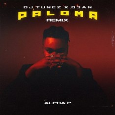 DJ Tunez – Paloma (Remix) (Amapiano) Ft. D3AN & Alpha P