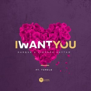Darque & Limpopo Rhythm – I Want You Ft. Tumelo Mp3 download