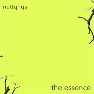 Nutty Nys – The Essence