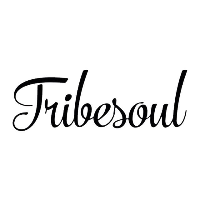 TribeSoul & Fox Lezinto – Winter Breeze Mp3 download