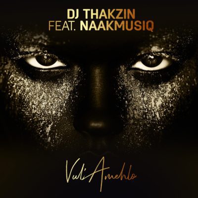 MP3: DJ Thakzin – Vul’Amehlo ft. NaakMusiQ