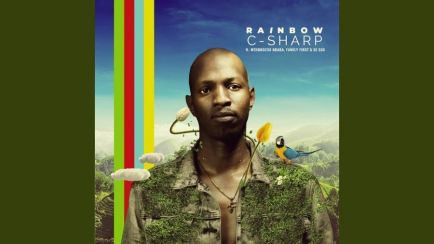 C-Sharp, Mthokozisi Ndaba, Family First & DJ Sox – Rainbow